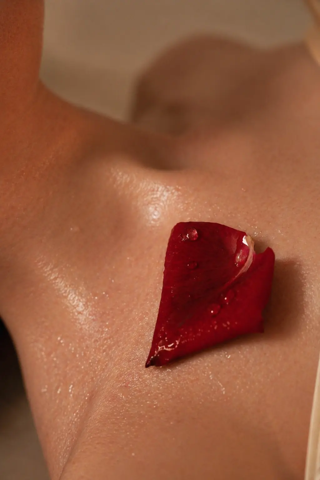 A single dark red rose petal beaded with water resting on a woman collarbone in warm light